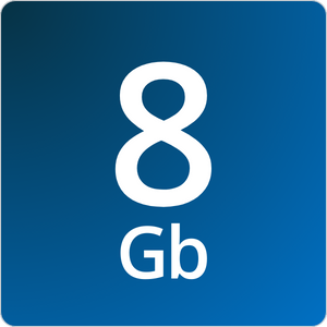 8G