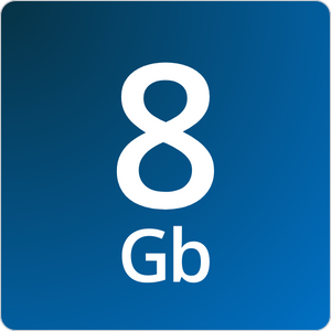 8G