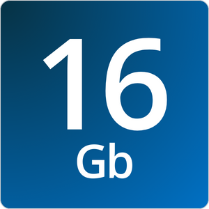 16g