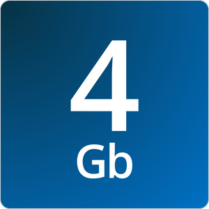 4G