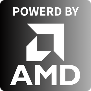 AMD LEGACY